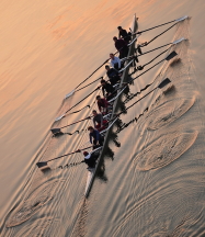 Watercolor_rowing_large